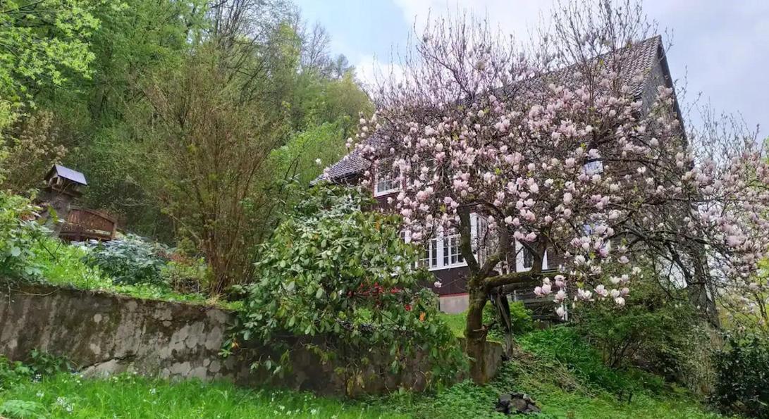 Walkenried Haus Am Wald Zorge 16+ Gaeste מראה חיצוני תמונה