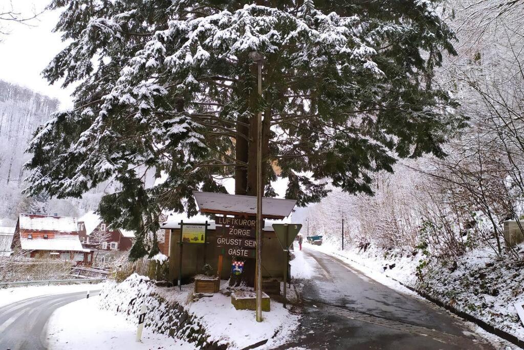 Walkenried Haus Am Wald Zorge 16+ Gaeste מראה חיצוני תמונה