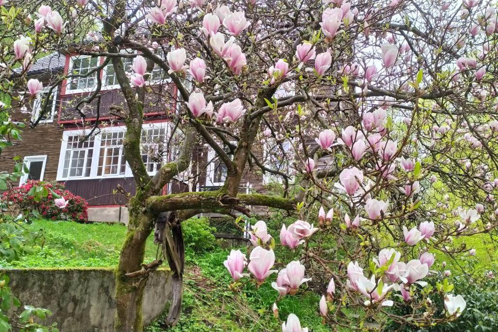 Walkenried Haus Am Wald Zorge 16+ Gaeste מראה חיצוני תמונה