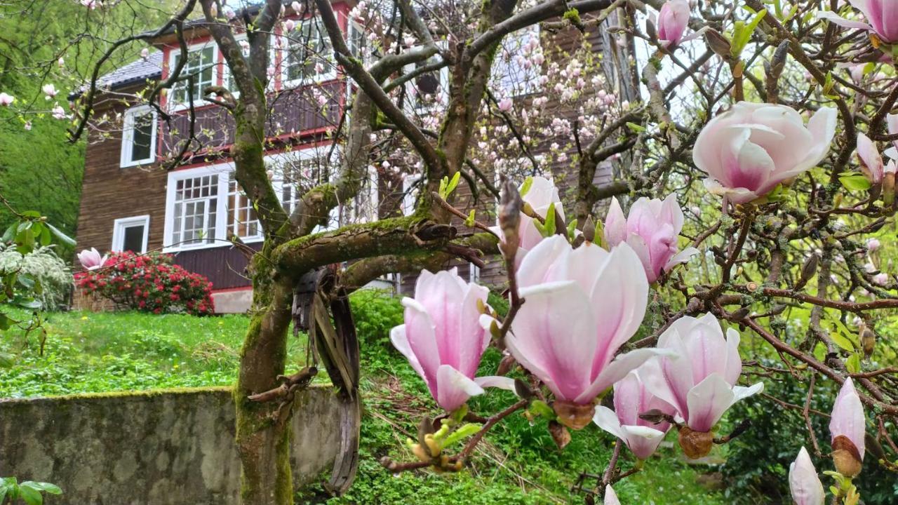 Walkenried Haus Am Wald Zorge 16+ Gaeste מראה חיצוני תמונה